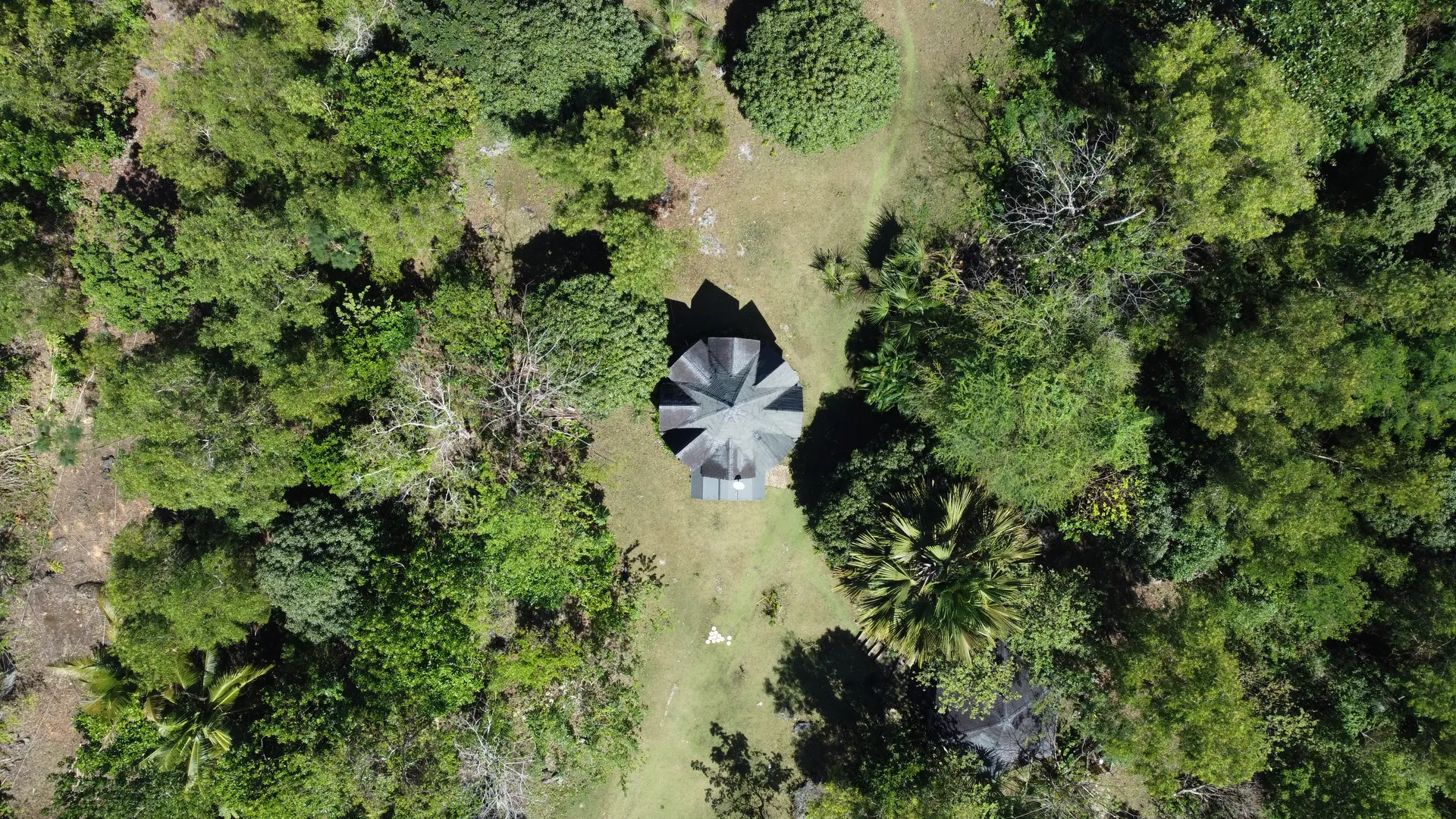 Property vegetation